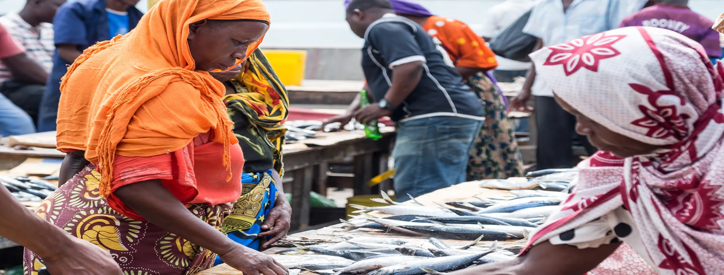 Image for Dar es Salaam Fish Market